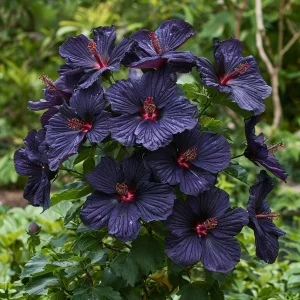 Гибискус Мэджик Момент купить по цене от 699р. в интернет-магазине «Посадика» с доставкой почтой в в Пустошкае и по всей России – [изображение №1].